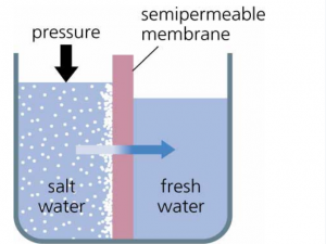 Reverse Osmosis Loxahatchee Florida 